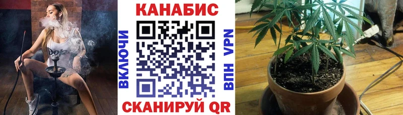 Бошки Шишки тримм  мориарти как зайти  Лебедянь 